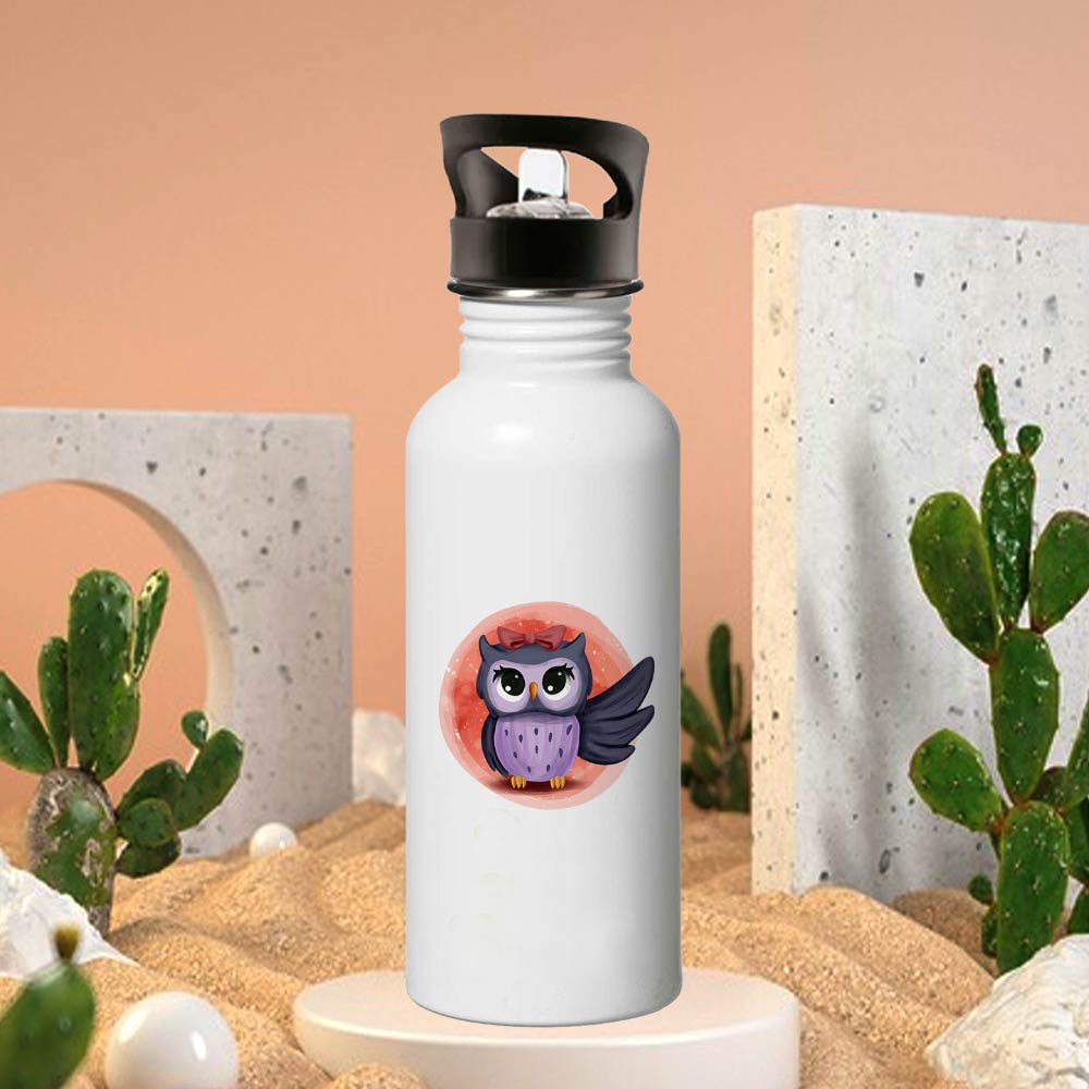 water bottle for gift, personalised water bottle gift, printed Insulated Bottle, custom printed Bottle, water bottle for girls, Birthday Gift 