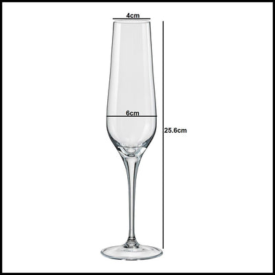 Crystal Non Lead Crystal Rebecca Champagne Flute Glasses - Set of 6